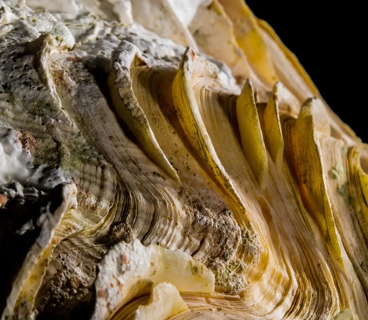 Farvel kalk! Sådan bliver badeværelset skinnende uden skrap kemi